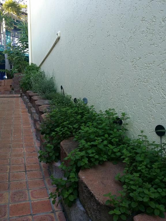 Reef Lodge Backpackers タウンズビル エクステリア 写真